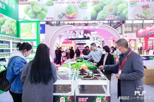 2025年上海國際自有品牌產(chǎn)品展(PLF) 日用百貨新風(fēng)尚與新機遇
